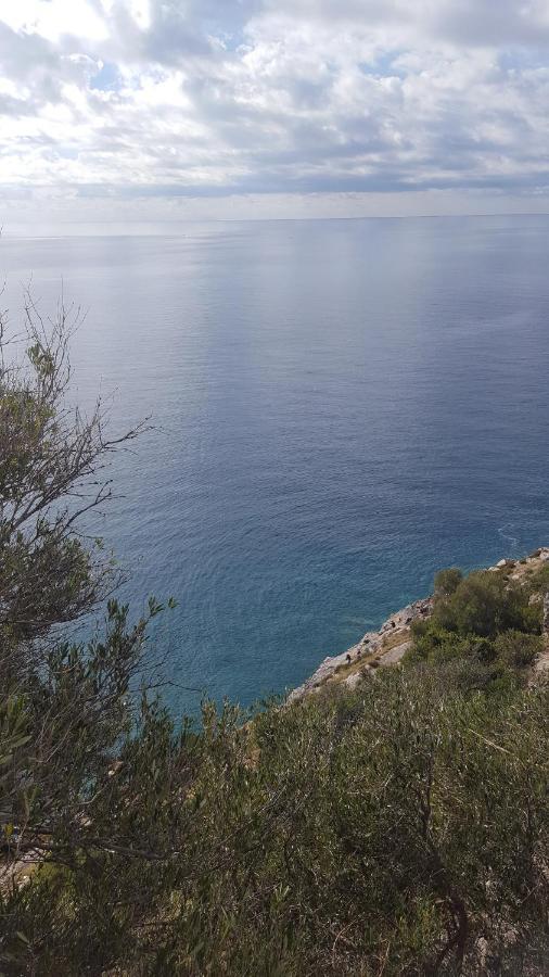 Casa Borrelli Daire Cittadella del Capo Dış mekan fotoğraf
